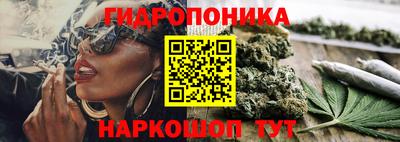 МДМА Камышлов