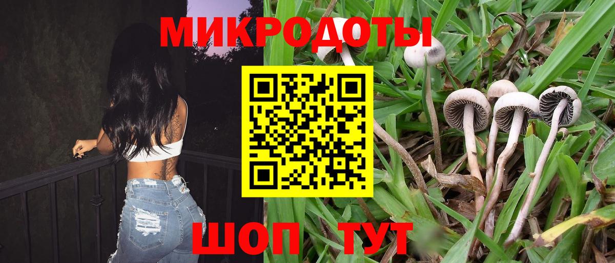 Псилоцибиновые грибы ЛСД Реутов