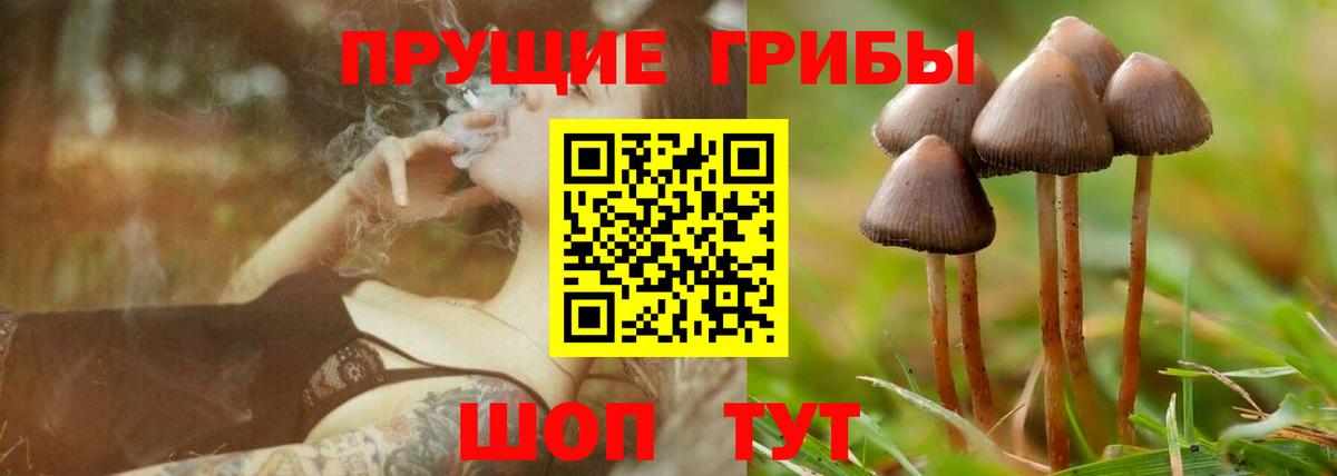 Псилоцибиновые грибы мухоморы  Вход с VPN  Реутов 